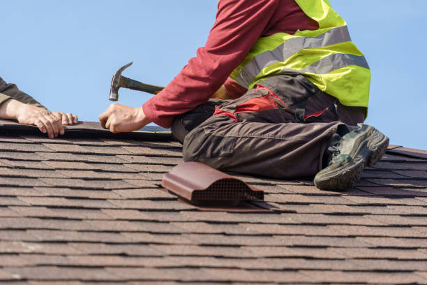 Best Roof Gutter Cleaning  in Brilliant, OH