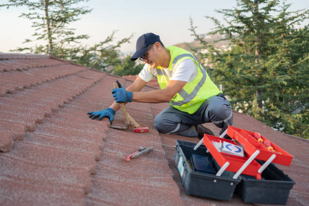 Best Roof Repair Services  in Brilliant, OH