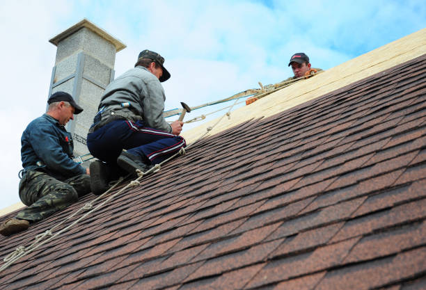 Best New Roof Installation  in Brilliant, OH